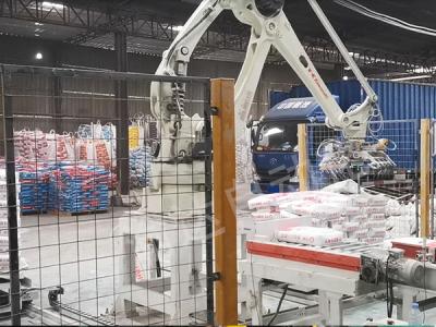 袋（dài）子碼垛機器人